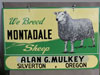 Montadale Farm Sheep Enamel Sign